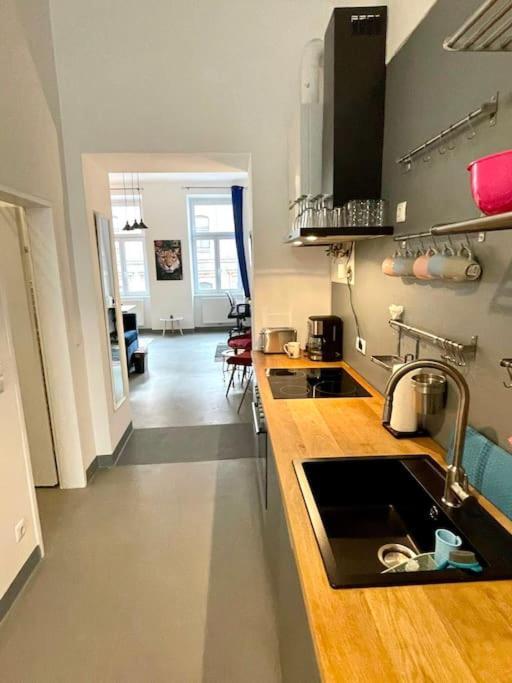 Klimatisierte Sehr Zentrale Wohnung-Loftstyle- Viena Exterior foto